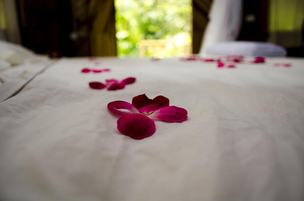 Tayrona Paradise Villa El Zaino Dış mekan fotoğraf