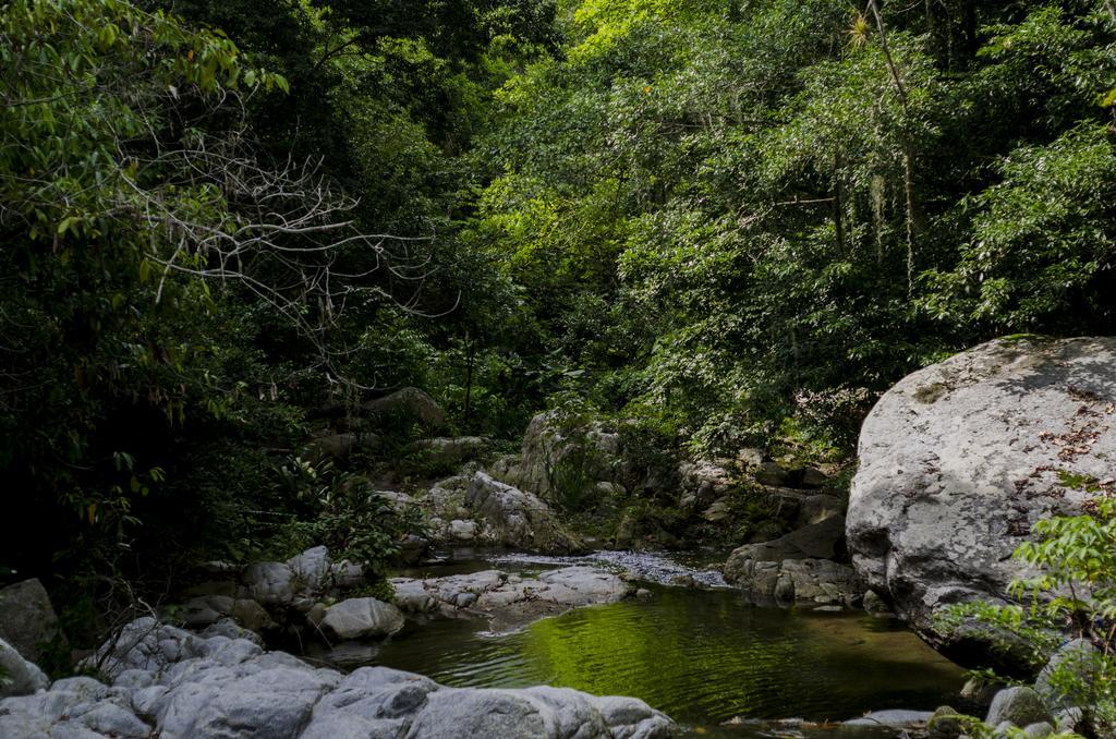 Tayrona Paradise Villa El Zaino Dış mekan fotoğraf