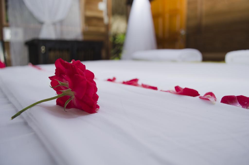 Tayrona Paradise Villa El Zaino Dış mekan fotoğraf